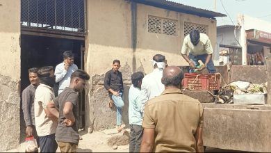 कोपरगाव शहरात विविध ठिकाणी छापे टाकून कत्तलीसाठी डांबून ठेवलेल्या गोवंश जनावरांची कोपरगाव शहर पोलिसांनी केली सुटका