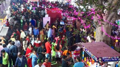 गोदाकाठ महोत्सवातून महिला बचत गटांच्या चळवळीला चालना-सौ.पुष्पाताई काळे  
