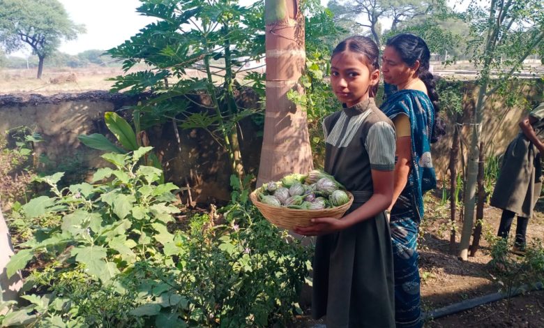 चितळीगाव शाळेस शालेय परसबाग स्पर्धेत जिल्ह्यास्थरावर तृतीय क्रमांक चितळीगाव शाळेस शालेय परसबाग स्पर्धेत जिल्ह्यास्थरावर तृतीय क्रमांक