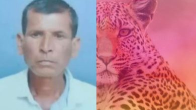 धक्कादायक..! राहुरी तालुक्यात बिबट्याच्या हल्ल्यात शेतकरी ठार