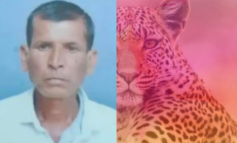 धक्कादायक..! राहुरी तालुक्यात बिबट्याच्या हल्ल्यात शेतकरी ठार धक्कादायक..! राहुरी तालुक्यात बिबट्याच्या हल्ल्यात शेतकरी ठार