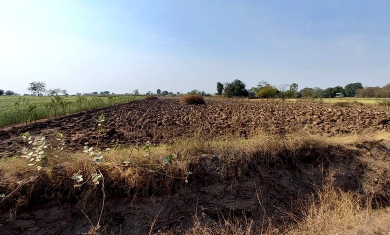 “चुलत्याचा राक्षसी अवतार! तीन न्यायालयांचे निकाल असूनही जमिनीवर ताबा देण्यास नकार” “चुलत्याचा राक्षसी अवतार! तीन न्यायालयांचे निकाल असूनही जमिनीवर ताबा देण्यास नकार”