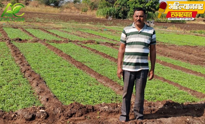 “Farming Innovation; गोंडेगावच्या शेतकऱ्याचा मेथी पिकातून आदर्श प्रयोग” “Farming Innovation; गोंडेगावच्या शेतकऱ्याचा मेथी पिकातून आदर्श प्रयोग”