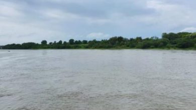 दारणा-गंगापूर धरणातून गोदावरी नदीत ११ हजार क्युसेक्स पाणी सोडले