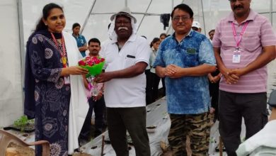 शेडनेट प्रकल्पातून विद्यार्थी करणार रोपांची निर्मिती प्रवरा ग्रामीण शिक्षण संस्थेचा उपक्रम, कृषीच्या विद्यार्थ्याना संधी 