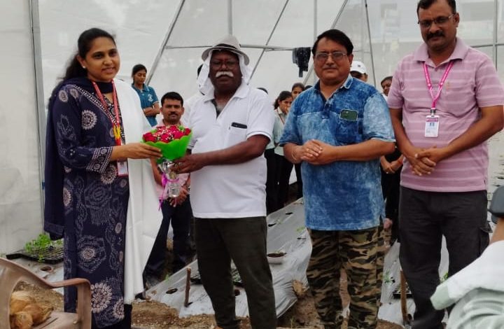 शेडनेट प्रकल्पातून विद्यार्थी करणार रोपांची निर्मिती प्रवरा ग्रामीण शिक्षण संस्थेचा उपक्रम, कृषीच्या विद्यार्थ्याना संधी शेडनेट प्रकल्पातून विद्यार्थी करणार रोपांची निर्मिती प्रवरा ग्रामीण शिक्षण संस्थेचा उपक्रम, कृषीच्या विद्यार्थ्याना संधी
