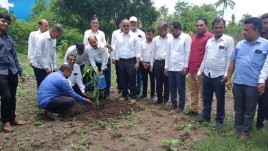 ना. डॉ. राधाकृष्ण विखे पाटील यांच्या वाढदिवसानिमित्त आयटीआयमध्ये प्लेसमेंट कॅम्पस व वृक्षारोपण कार्यक्रम