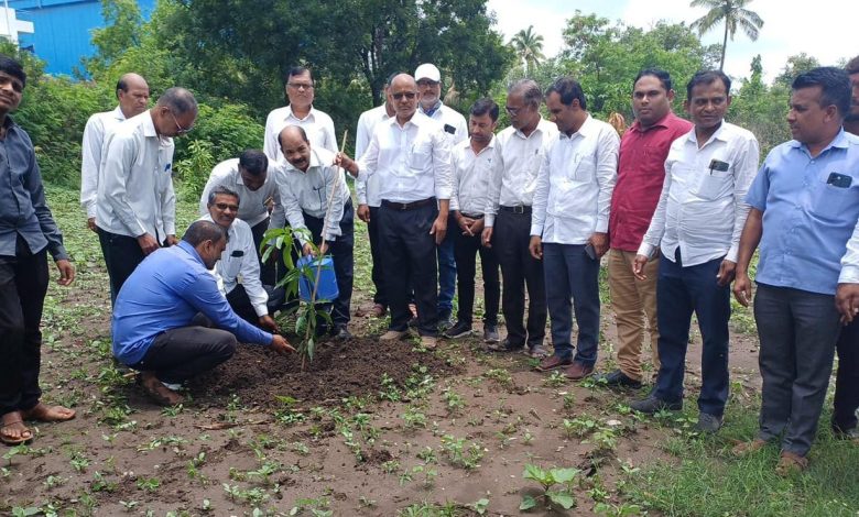 ना. डॉ. राधाकृष्ण विखे पाटील यांच्या वाढदिवसानिमित्त आयटीआयमध्ये प्लेसमेंट कॅम्पस व वृक्षारोपण कार्यक्रम ना. डॉ. राधाकृष्ण विखे पाटील यांच्या वाढदिवसानिमित्त आयटीआयमध्ये प्लेसमेंट कॅम्पस व वृक्षारोपण कार्यक्रम