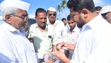 डॉ. सुजय विखे पाटील यांनी लोणी बुद्रुक, हणमंतगाव, पाथरे परिसरातील खरीप नुकसानीची केली पाहणी