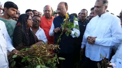 २६५ तालुक्यांत दुष्काळ; शेतकऱ्यांना लवकरच प्रत्यक्ष मदत, चंद्रशेखर बावनकुळेंचं मोठं विधान