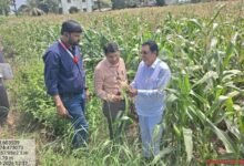 राहाता तालुक्यात ६१ गावांत पीक नुकसानीचे पंचनामे सुरू; १०३ अधिकारी-कर्मचाऱ्यांची नियुक्ती