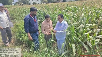 राहाता तालुक्यात ६१ गावांत पीक नुकसानीचे पंचनामे सुरू; १०३ अधिकारी-कर्मचाऱ्यांची नियुक्ती