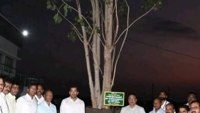 सेवा संकल्प अभियानांतर्गत ‘एक पेड माँ के नाम’ उपक्रमातून मातृप्रेमाचा सन्मान; पर्यावरण संवर्धनाला नवी दिशा
