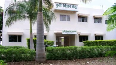 मसाले निर्मितीतून स्वयंरोजगाराची संधी; कृषी विज्ञान केंद्र बाभळेश्वर येथे प्रशिक्षणाचे आयोजन