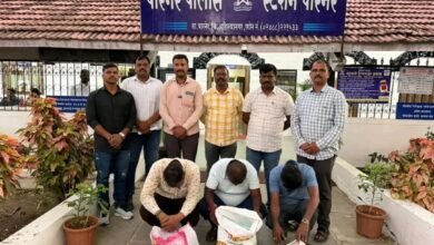 गुटखा-माव्याच्या अवैध विक्रीवर एलसीबीचे छापे; १.६२ लाखांचा मुद्देमाल जप्त