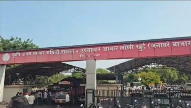 दुष्काळाचा जनावरांच्या बाजारावर परिणाम, किमतींमध्ये २० ते २५ टक्के घट