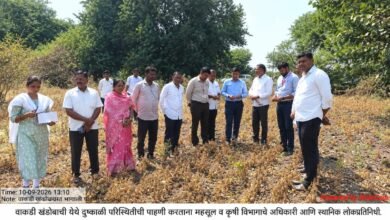 वाकडी येथे दुष्काळी परिस्थितीची पाहणी; खरीप पिके पूर्णपणे नष्ट,