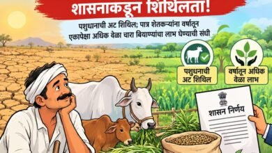 दुष्काळग्रस्त शेतकऱ्यांना दिलासा; चारा बियाणे वाटपाच्या अटींमध्ये शासनाकडून शिथिलता!